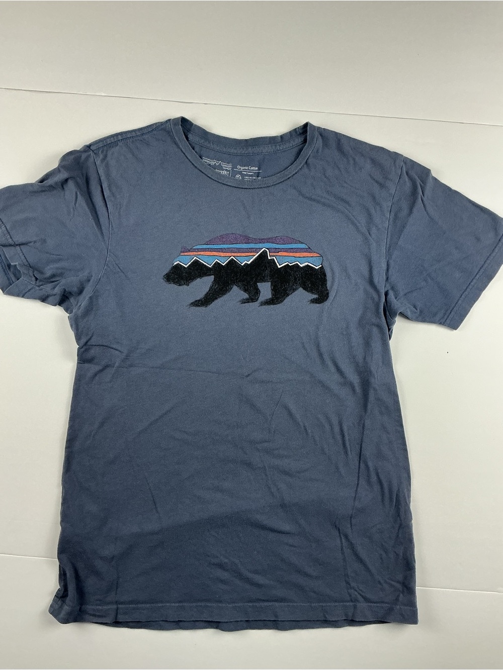 Patagonia Slate Blue Tee with Multicolor Striped Bear